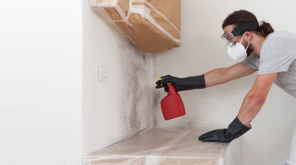 Professional Black Mold Removal technician working in Highlands, NC